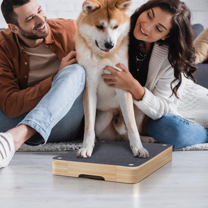 PawHalt™ Dog Scratch Pad for Nails with Treat Drawer – Stress-Free Wooden Dog Nail File Board